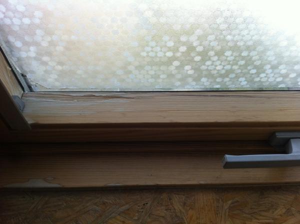 An die Holzprofis! Fenster streichen mit welcher Farbe? [Archiv ... An die Holzprofis! Fenster streichen mit welcher Farbe? [Archiv ...