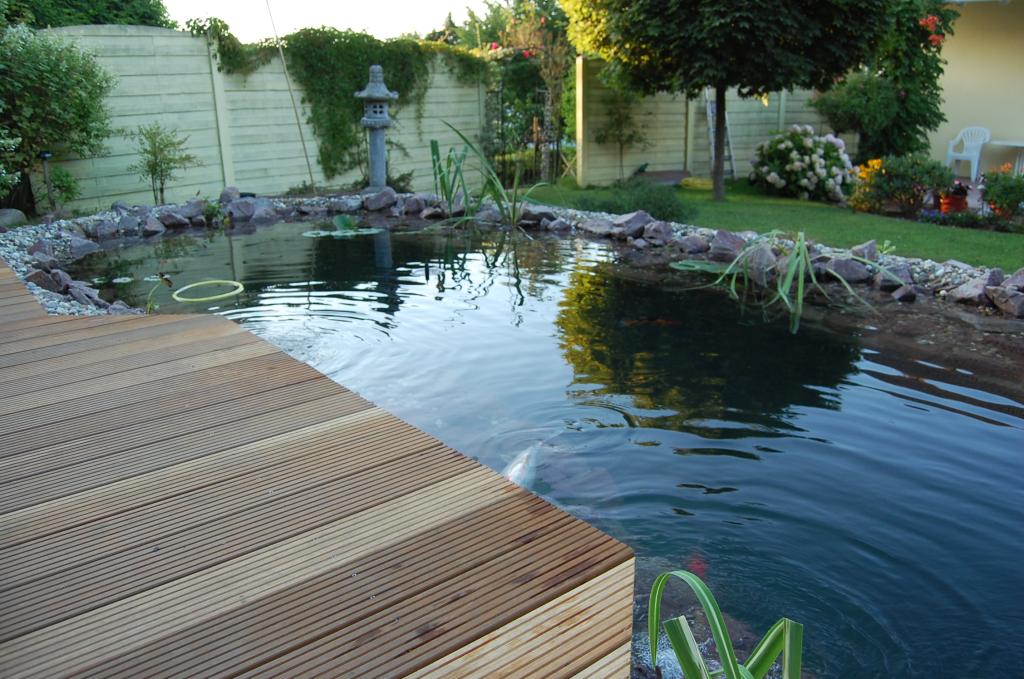 Mein neuer Koi Teich KoiLive.de KoiForum