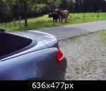 Hostet by BMW-TREFF.DE